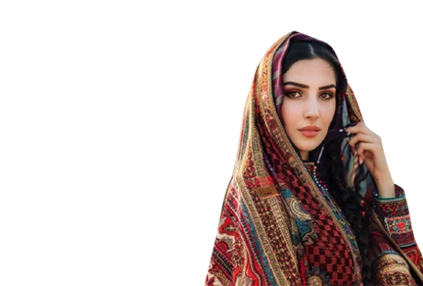 الأسلوب الإيراني